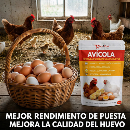 🔥 Oferta 2x1 🐔Fórmula Potenciadora Duplica la producción de huevos de tus gallinas en pocos días🥚(Bolsa 500 GR)