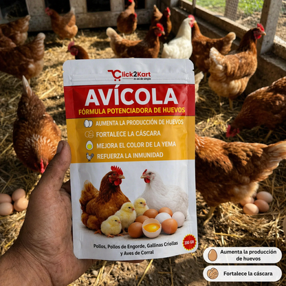 🔥 Oferta 2x1 🐔Fórmula Potenciadora Duplica la producción de huevos de tus gallinas en pocos días🥚(Bolsa 500 GR)