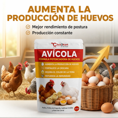 🔥 Oferta 2x1 🐔Fórmula Potenciadora Duplica la producción de huevos de tus gallinas en pocos días🥚(Bolsa 500 GR)