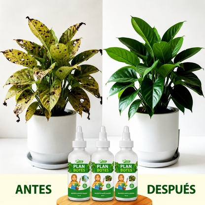 🌿 Plant Boost Potenciador organico para plantas: Crecimiento mas rapido 🌱🏡