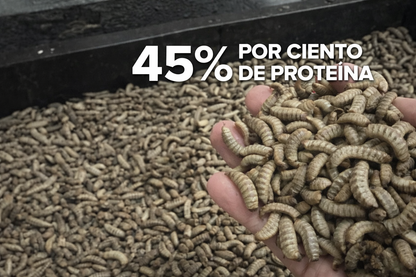 Oferta 2x1 🔥Más peso, más huevos y animales más fuertes 🐔💪 👉 Evita el canibalismo y mejora la producción desde la primera semana 🐓( Bolsa 500 GR )
