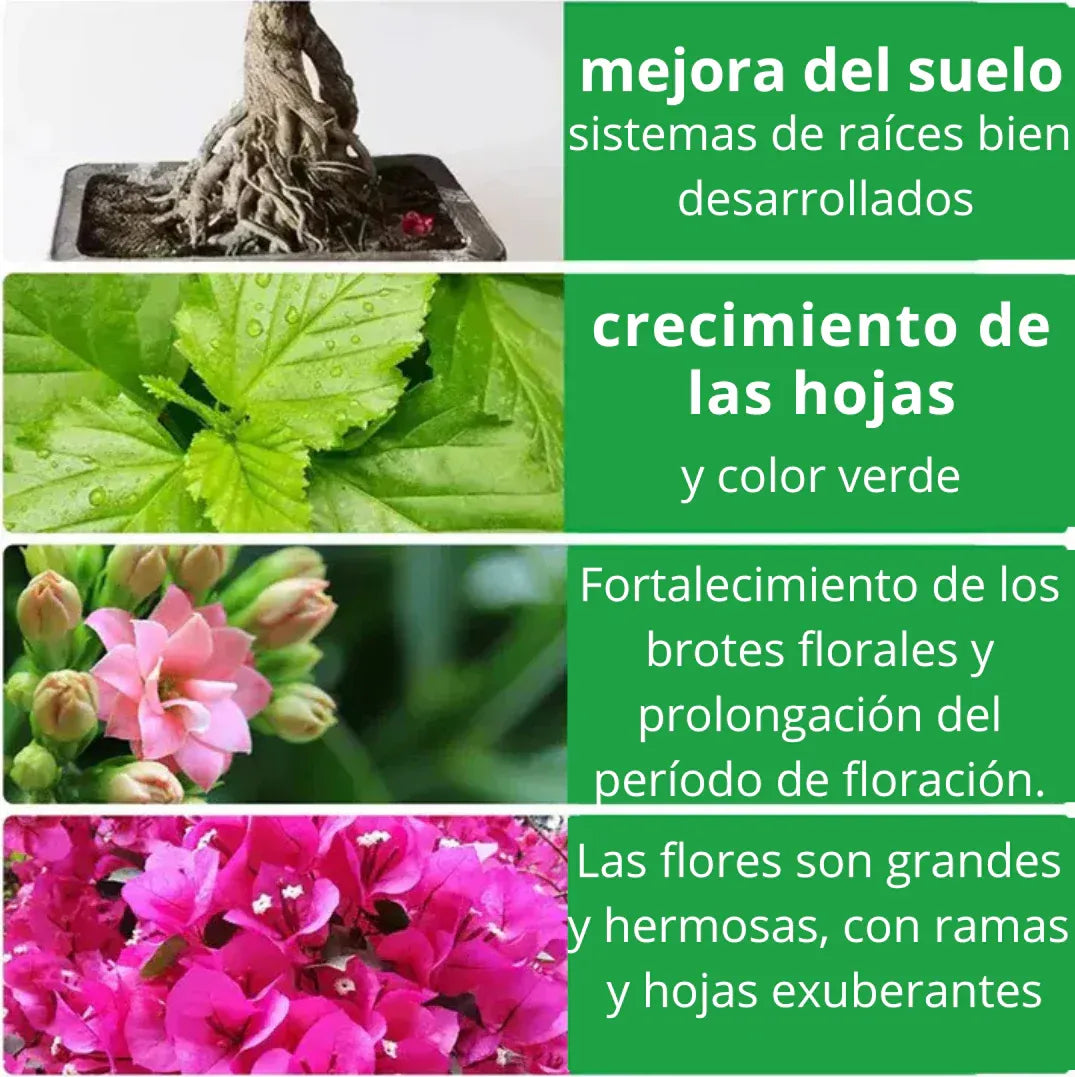 Flower & Root Booster - Raíces Fuertes y Flores Exuberantes en Días – ¡El Secreto de las Plantas Saludables!
