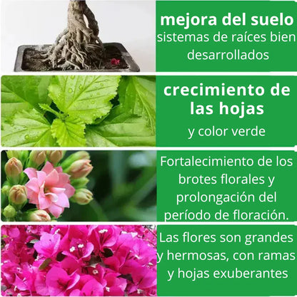 Flower & Root Booster - Raíces Fuertes y Flores Exuberantes en Días – ¡El Secreto de las Plantas Saludables!