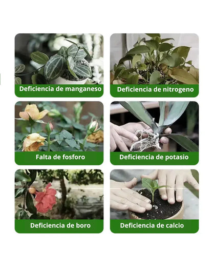 Flower & Root Booster - Raíces Fuertes y Flores Exuberantes en Días – ¡El Secreto de las Plantas Saludables!