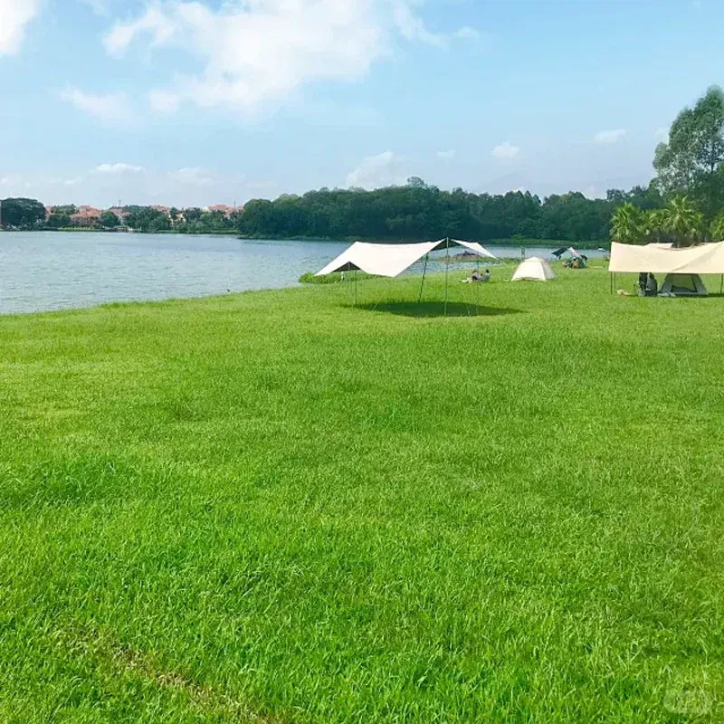 🌱 Semillas de Césped Enano Perenne 🌱(Bolsa 500 GR)¡Últimas Unidades! 🔥– ¡Crea tu Césped Perfecto!